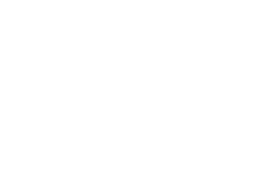 ZeroNoise