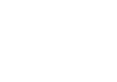 ZeroNoise logo