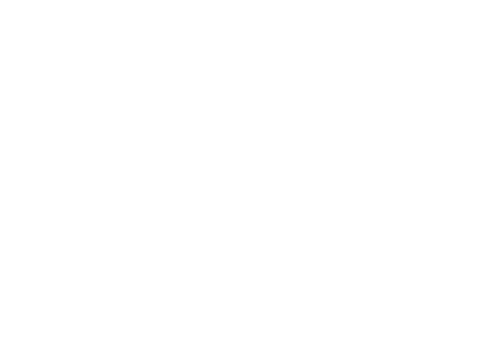 Arai Helmet logo